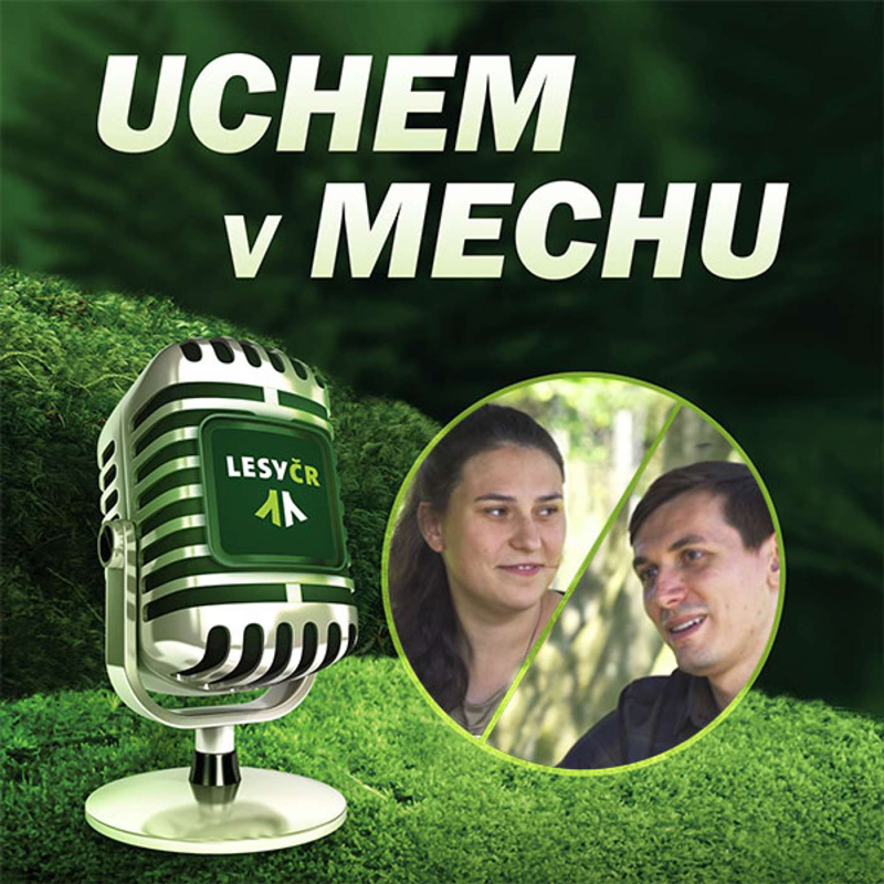 Obrázek epizody O lesnictví a turistické sezóně v Krušných horách s manžely Fiedlerovými