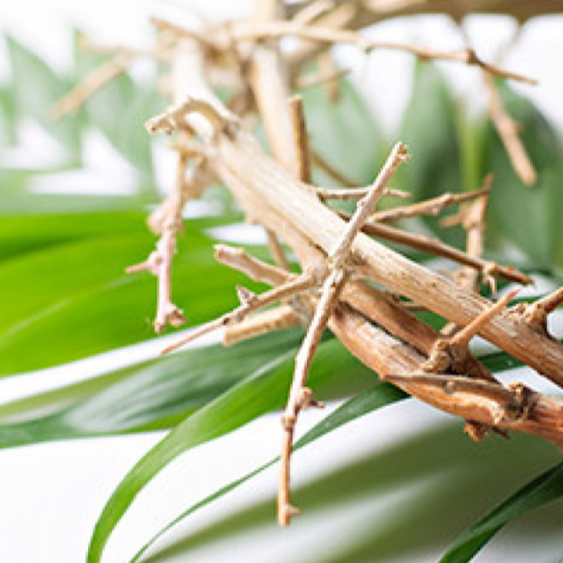 Obrázek epizody Palmová neděle