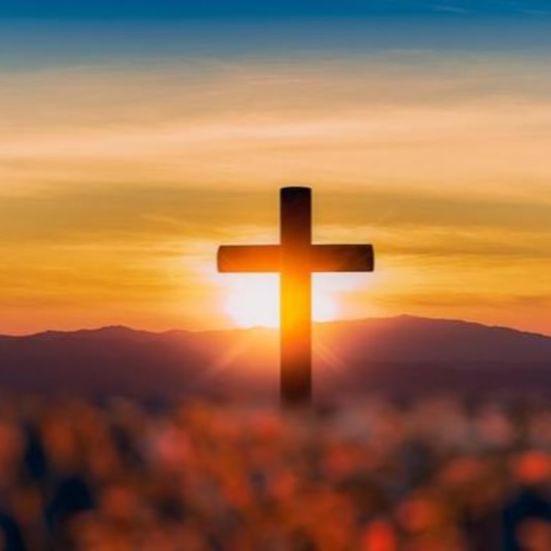 Obrázek epizody Dáma vyléčená z rakoviny krve ve stádiu metastáz.