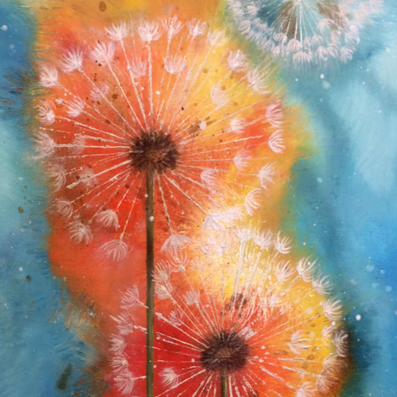 Obrázek epizody Pampelišky (ve spolupráci se Světem nočních můr)