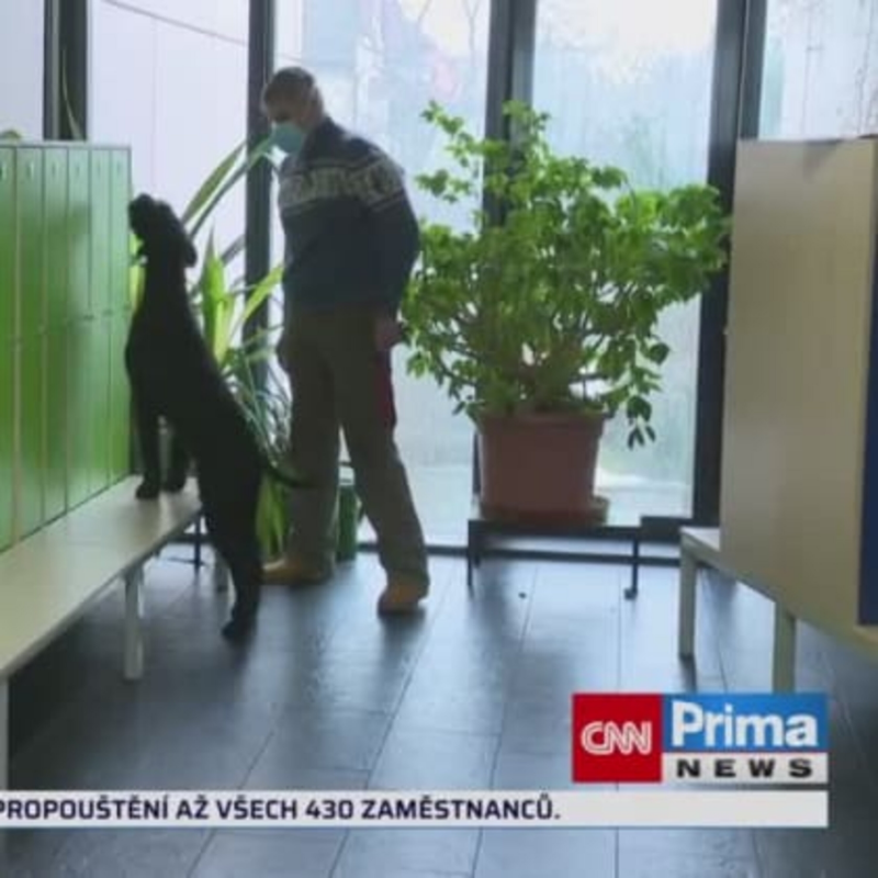 Obrázek epizody Čtyřnozí hledači nákazy