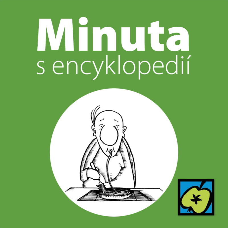 Obrázek epizody Těstoviny