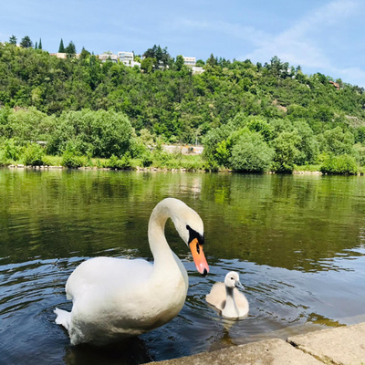 Obrázek epizody #15 Vztahy