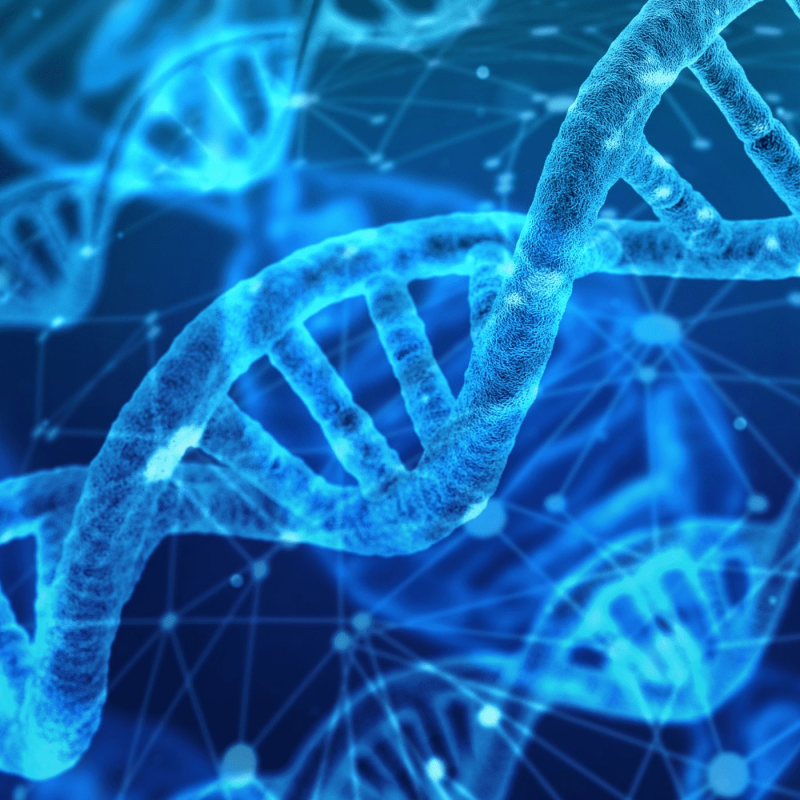 Obrázek epizody Inheritance