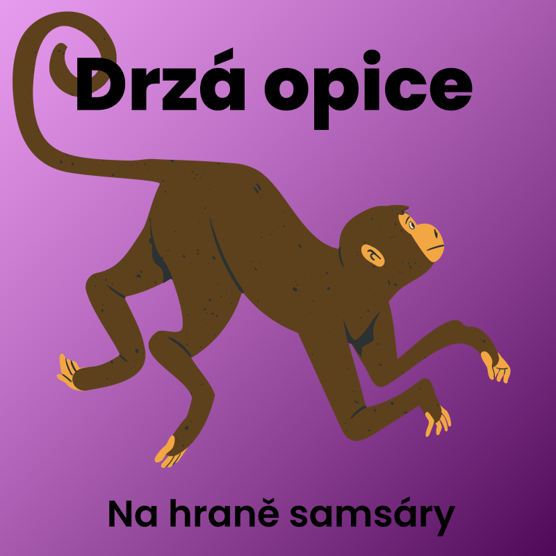 Obrázek epizody 10. Drzá opice