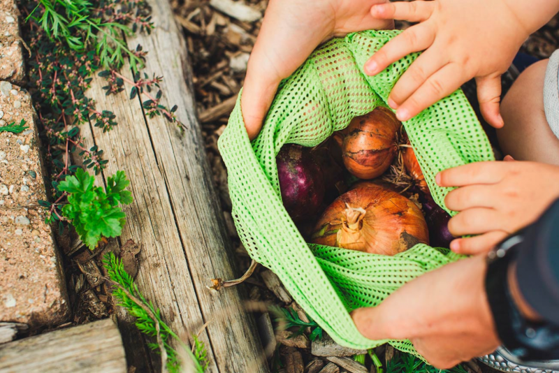 Obrázek epizody Krize bezobalů 2: a jsme pryč