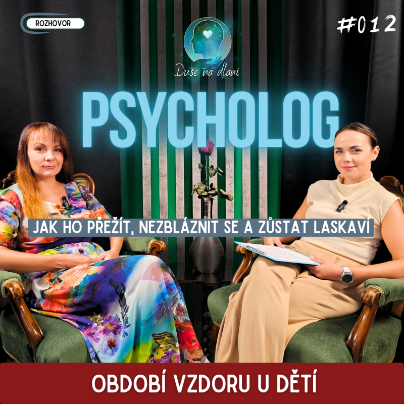 Obrázek epizody Duše na dlani - Období vzdoru u dětí
