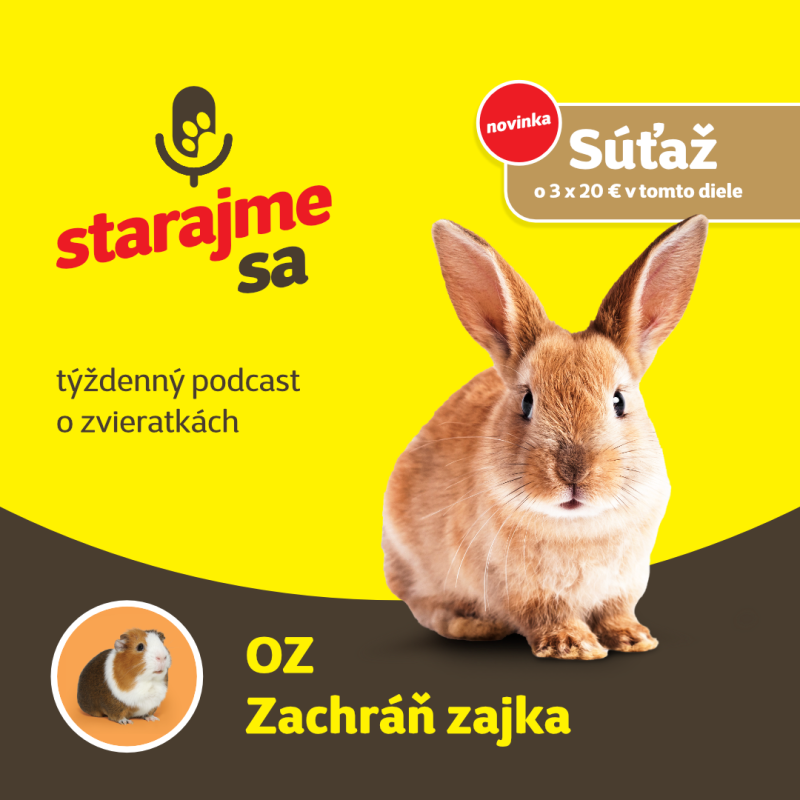 Obrázek epizody Drobné cicavce: OZ Zachráň zajka