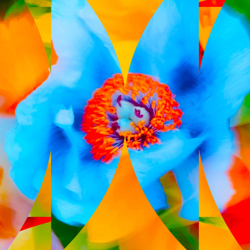 Obrázek epizody Aphantasia