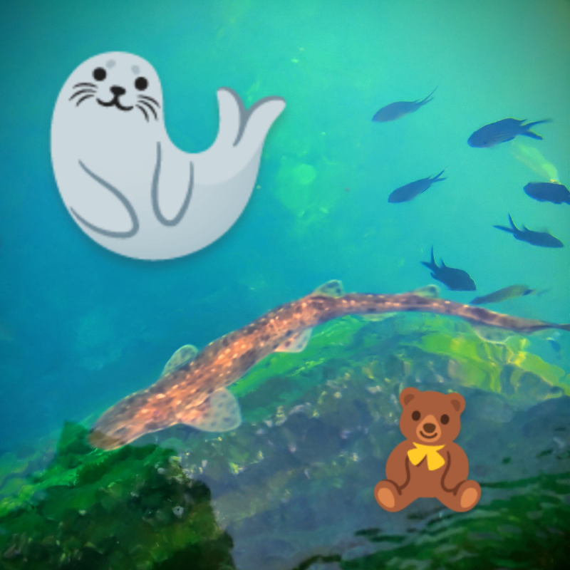 Obrázek epizody Pohádka Jak lachtánek s tučňáčkem vzali žraloka do světa