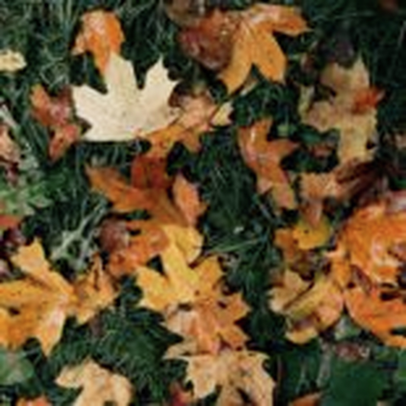 Obrázek epizody HOROSKOPY: Váhy, v milostném životě můžete očekávat situace, kdy se věci budou spíše komplikovat