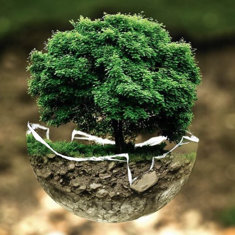 Obrázek epizody Čas a trpělivost v investování