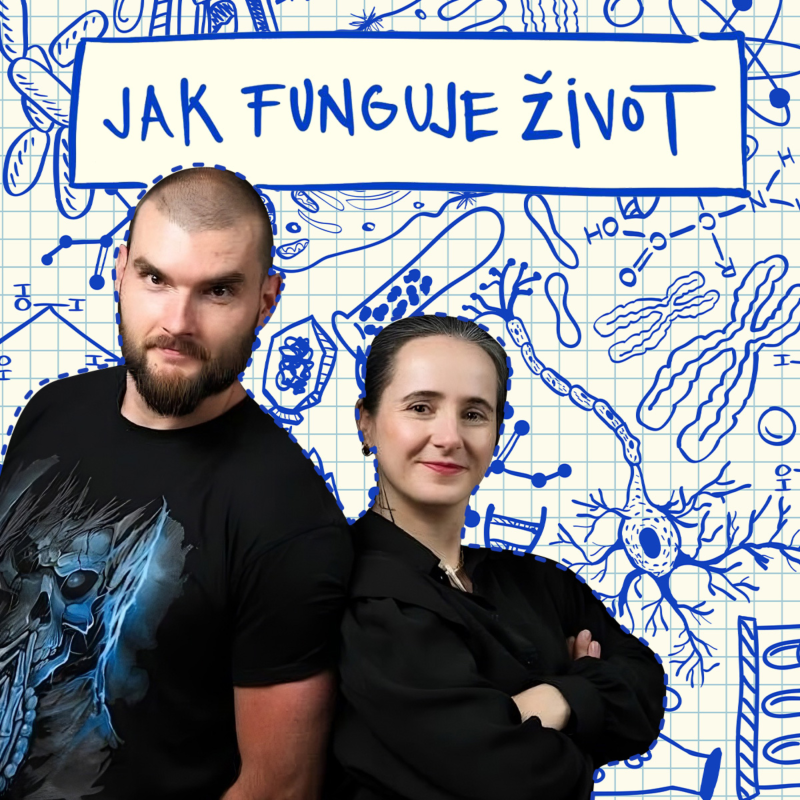 Obrázek epizody #18 - Je tetování nebezpečné? A co jeho odstranění?