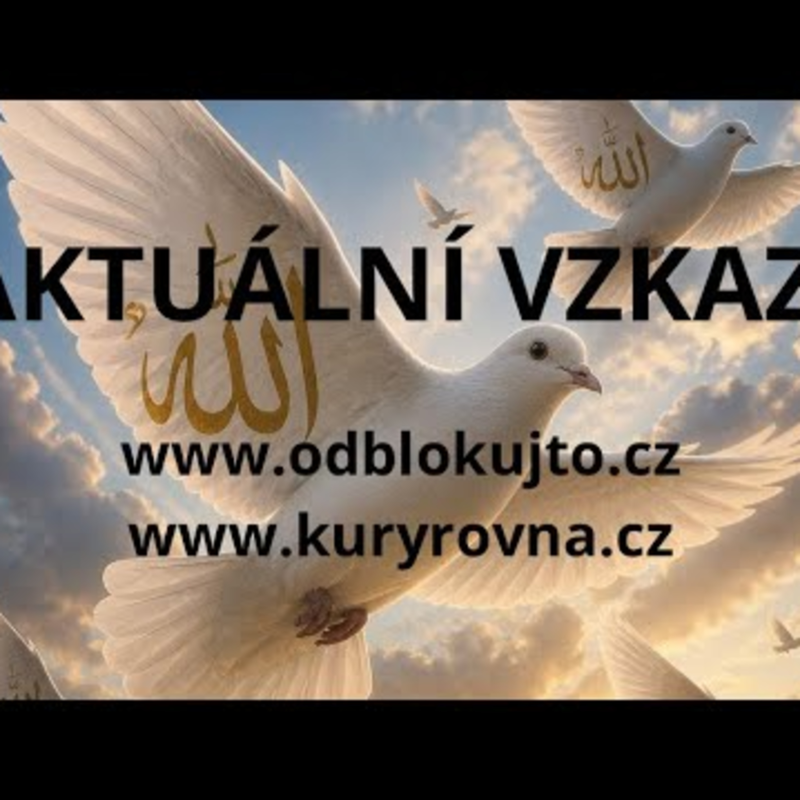 Obrázek epizody AKTUÁLNÍ VZKAZY - POSUN/VÝZVA, 4 VARIANTY💛🩷🩵💚