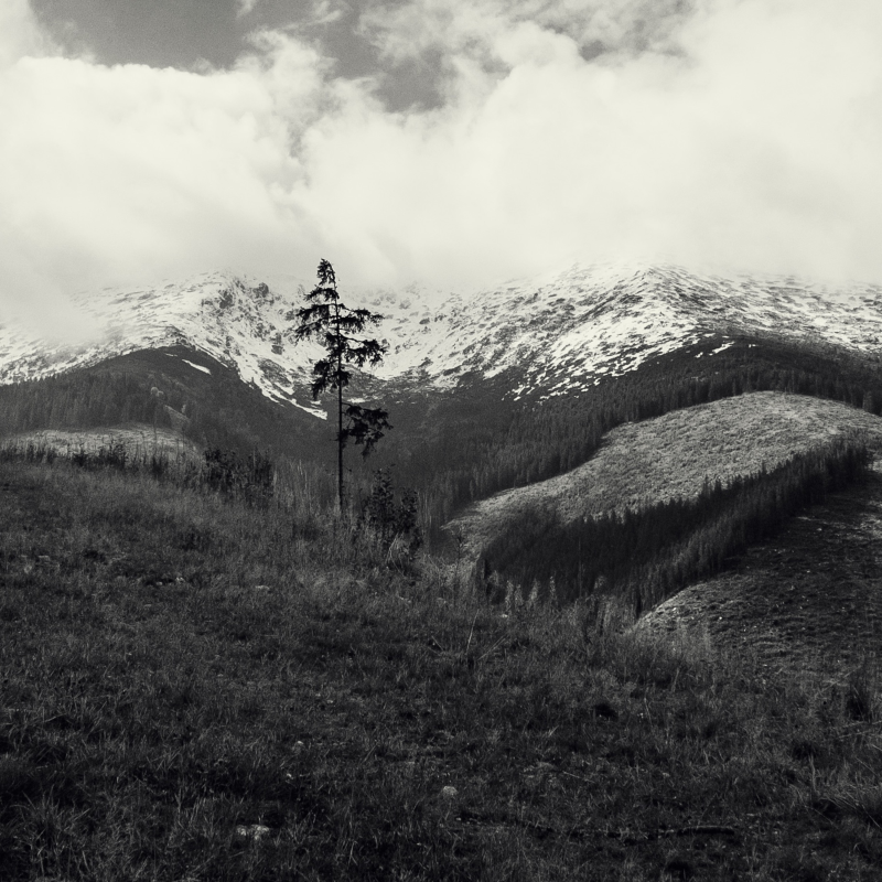 Obrázek epizody Hlboká transformácia podvedomej mysle | Ukotvenie v prítomnom okamihu (Hypnóza na spanie)