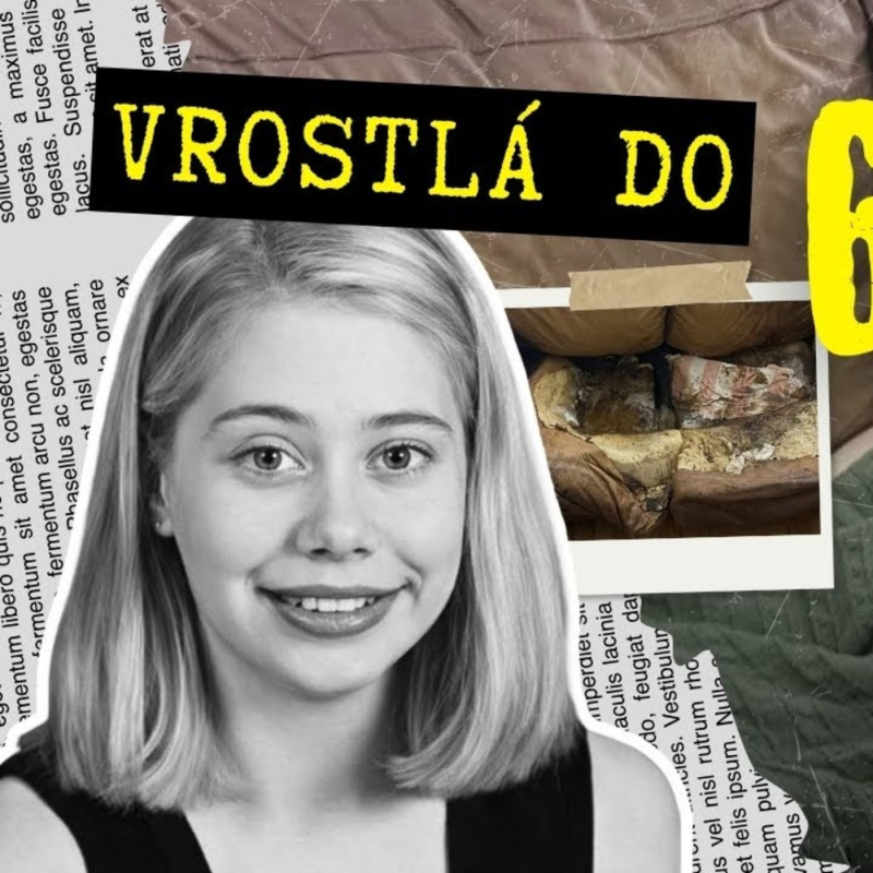 Obrázek epizody 12 let hnila na gauči. Otřesný případ Lacey Fletcher