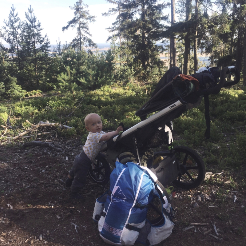 Obrázek epizody 3: Znovu do Brd - čmelák, užovka a divočák