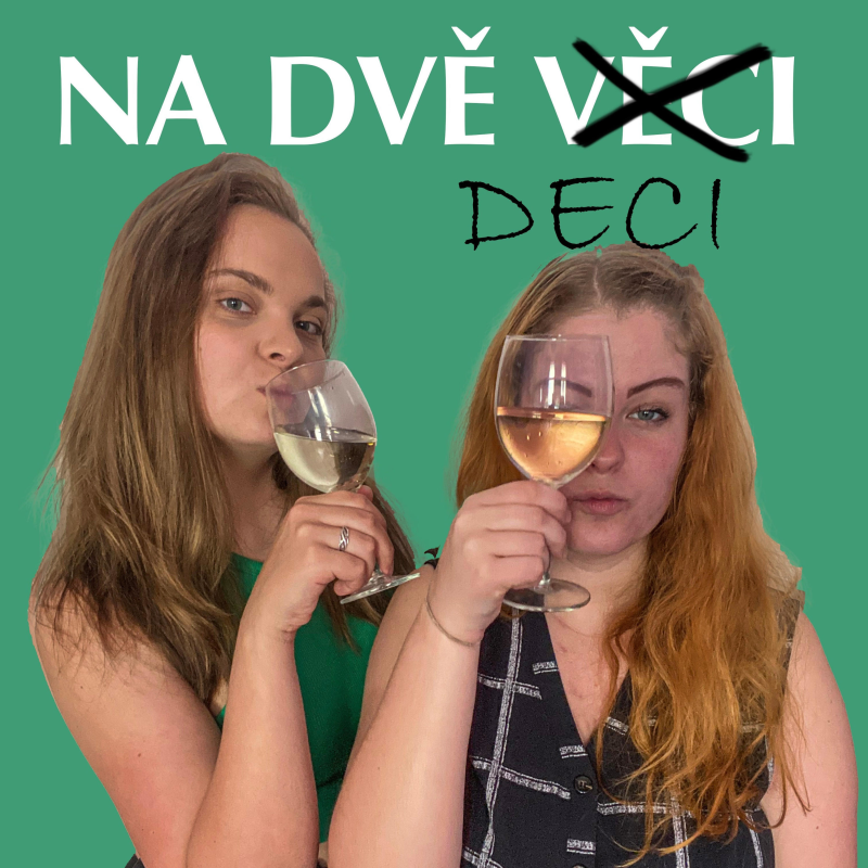 Obrázek epizody #6 Dva měsíce v Americe - Work&Travel update