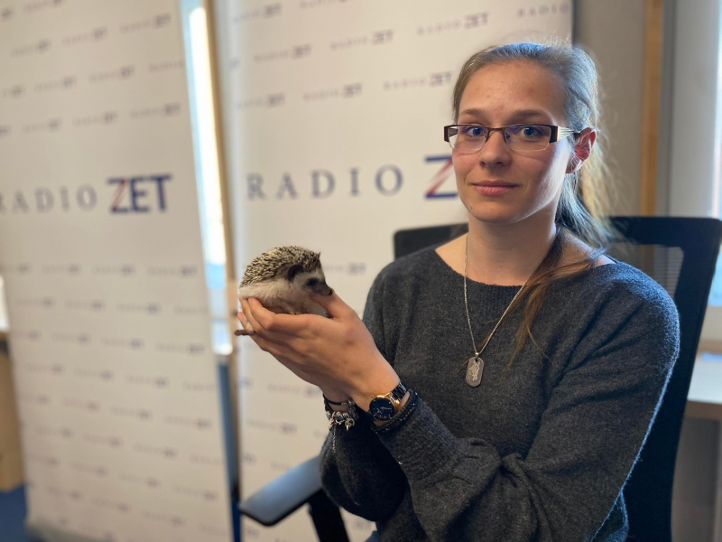 Obrázek epizody Chovatelka ježků Simona Linková: Dříve jsem netušila, že se ježci mohou chovat doma, dnes jich doma chovám třináct