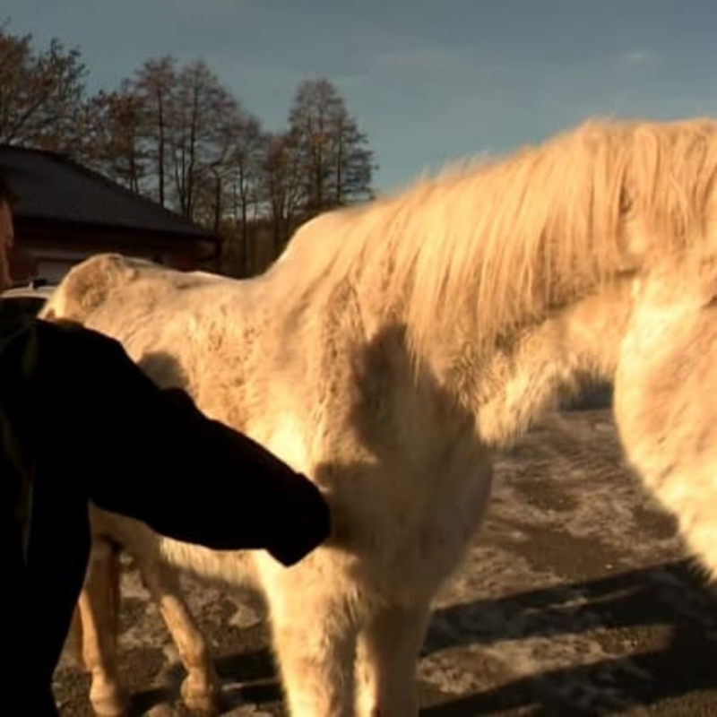 Obrázek epizody Hrdina všedního dne - Patricie Pitříková