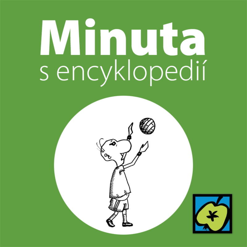 Obrázek epizody Volejbal