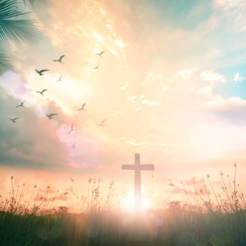 Obrázek epizody Muž se vyléčil z cukrovky a vysokého krevního tlaku.