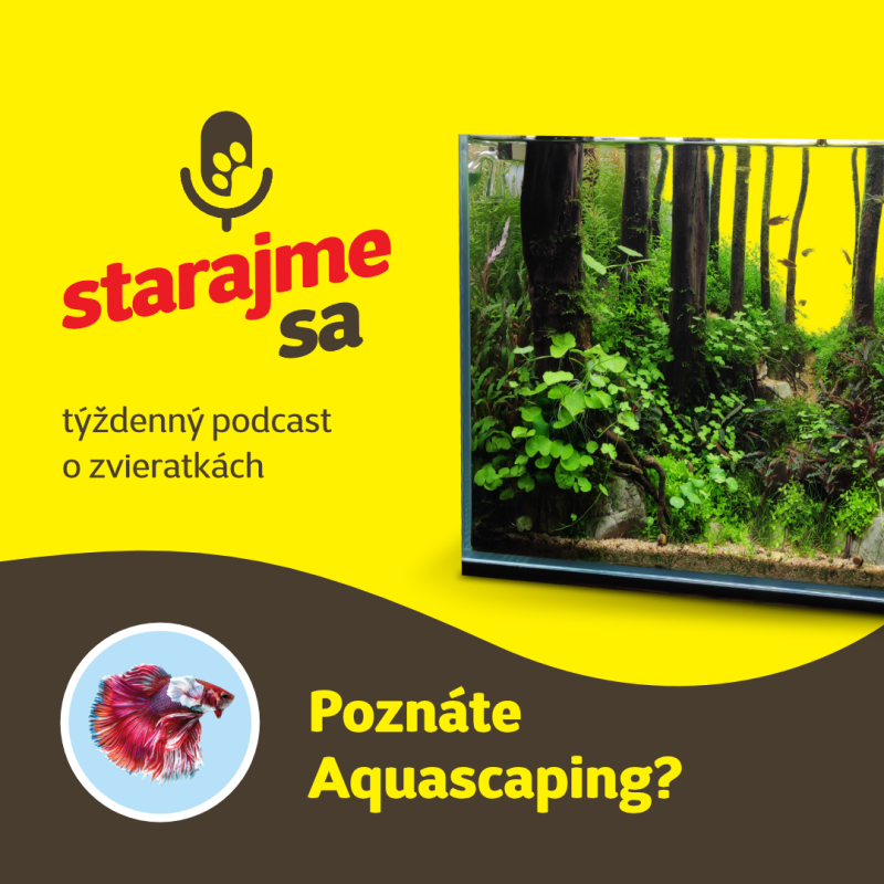 Obrázek epizody Akvaristika: Poznáte Aquascaping?