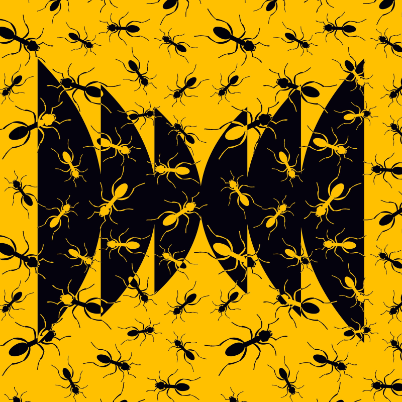 Obrázek epizody Argentine Invasion