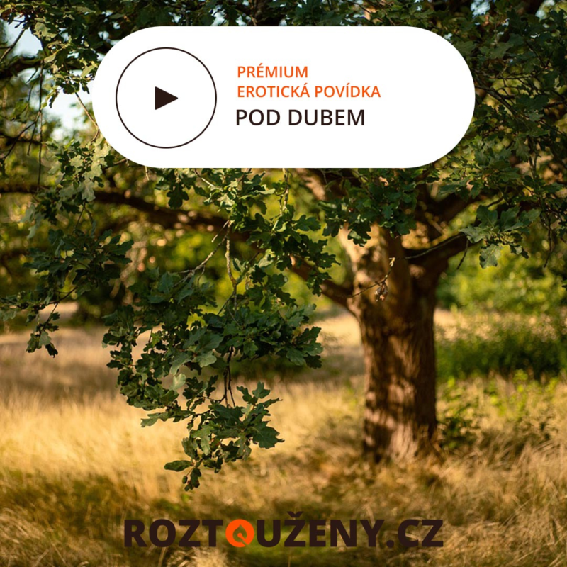 Obrázek epizody Erotická povídka: Pod dubem trailer | Roztouženy.cz