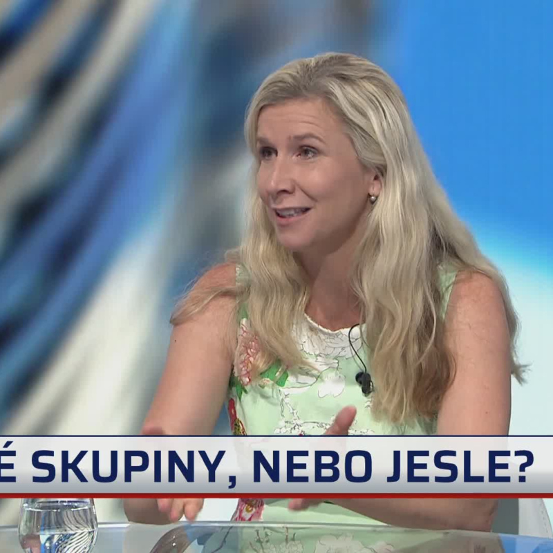 Obrázek epizody K věci 17.8.2020