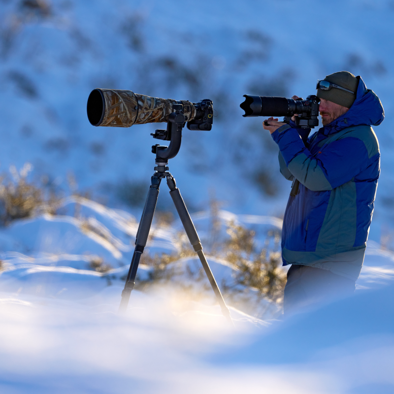 Obrázek epizody UPCE On Air: O fotografování (nejen) divokých zvířat s výhercem Czech Press Photo Lukášem Zemanem