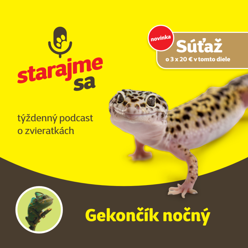 Obrázek epizody Teraristika: Gekončík nočný