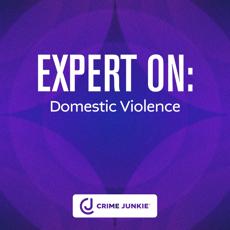 Obrázek epizody EXPERT ON: Domestic Violence