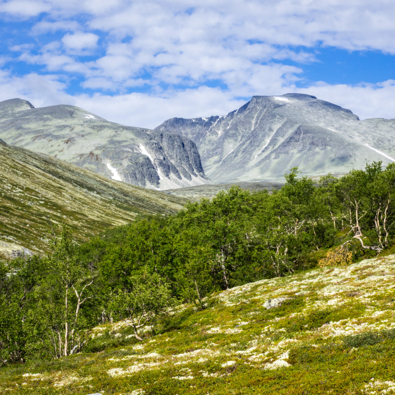 Obrázek epizody #4 Přechod národního parku Rondane v Norsku: Kde si hrají trollí děti
