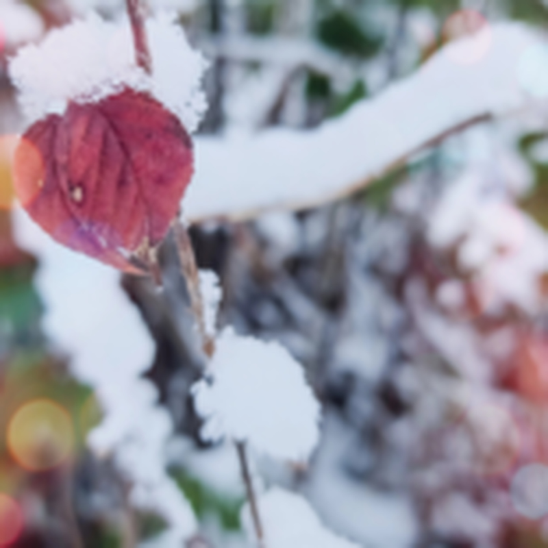 Obrázek epizody HOROSKOPY: Raci, láska je kořením života, a proto ji věnujte veškerý volný čas i energii