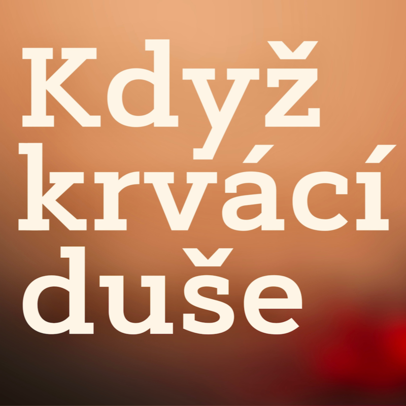 Obrázek epizody BRATRŮM A SESTRÁM ZA ZDÍ