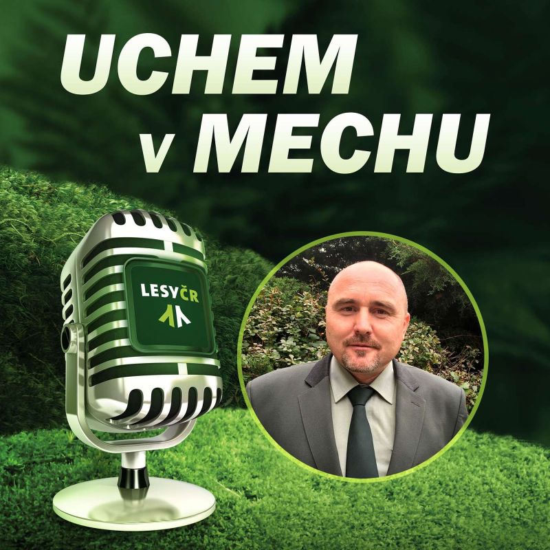 Obrázek epizody Krajský ředitel Lesů ČR František Holenka o Dni za obnovu lesa 2020