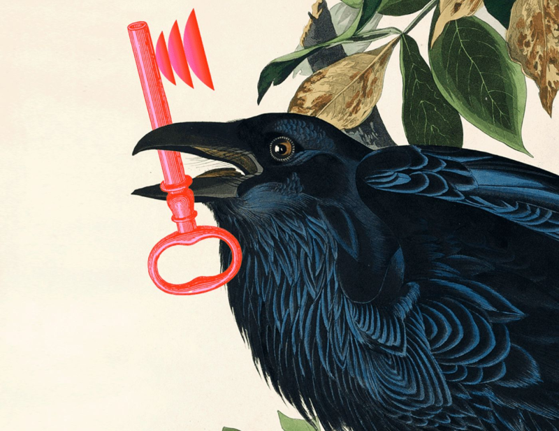 Obrázek epizody The Library of Alexandra