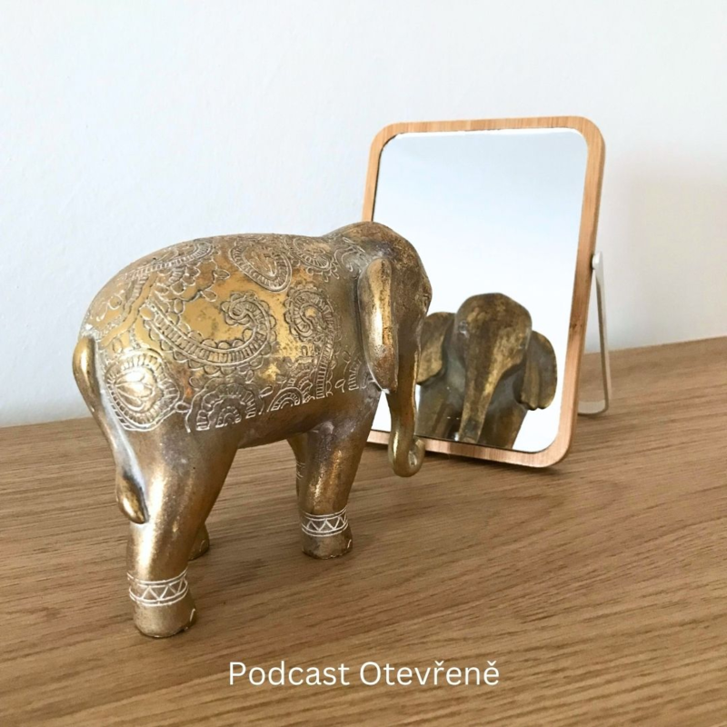 Obrázek epizody #18 - Osamělost, přátelství a princip zrcadlení