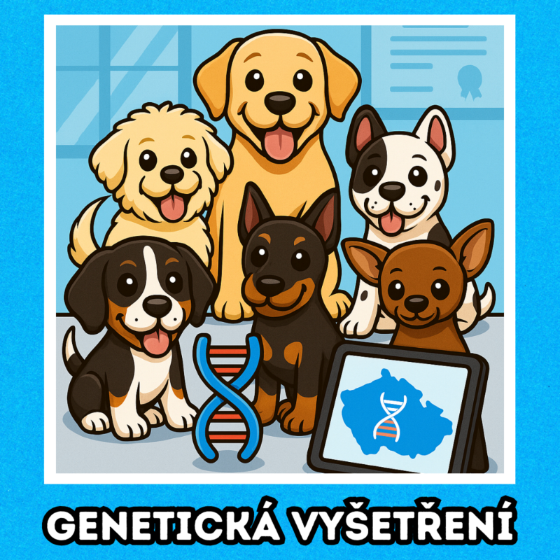 Obrázek epizody 🧪 Genetická vyšetření 🧪 | Chovatelská středa #33