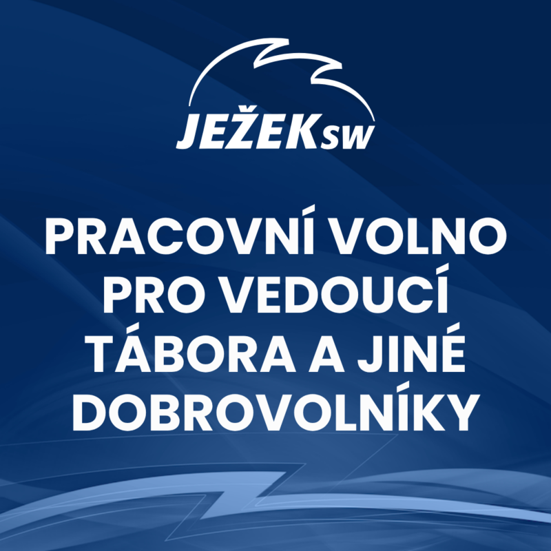 Obrázek epizody Pracovní volno pro vedoucí tábora a jiné dobrovolníky