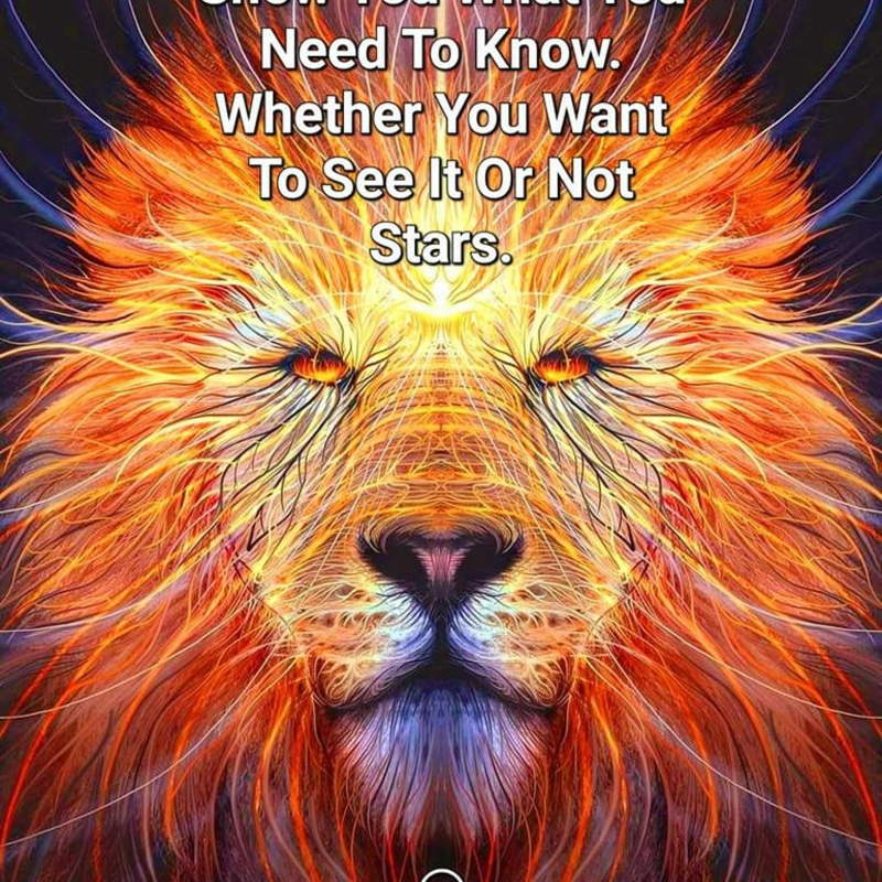 Obrázek epizody 3.2.2024 - Maya Mix