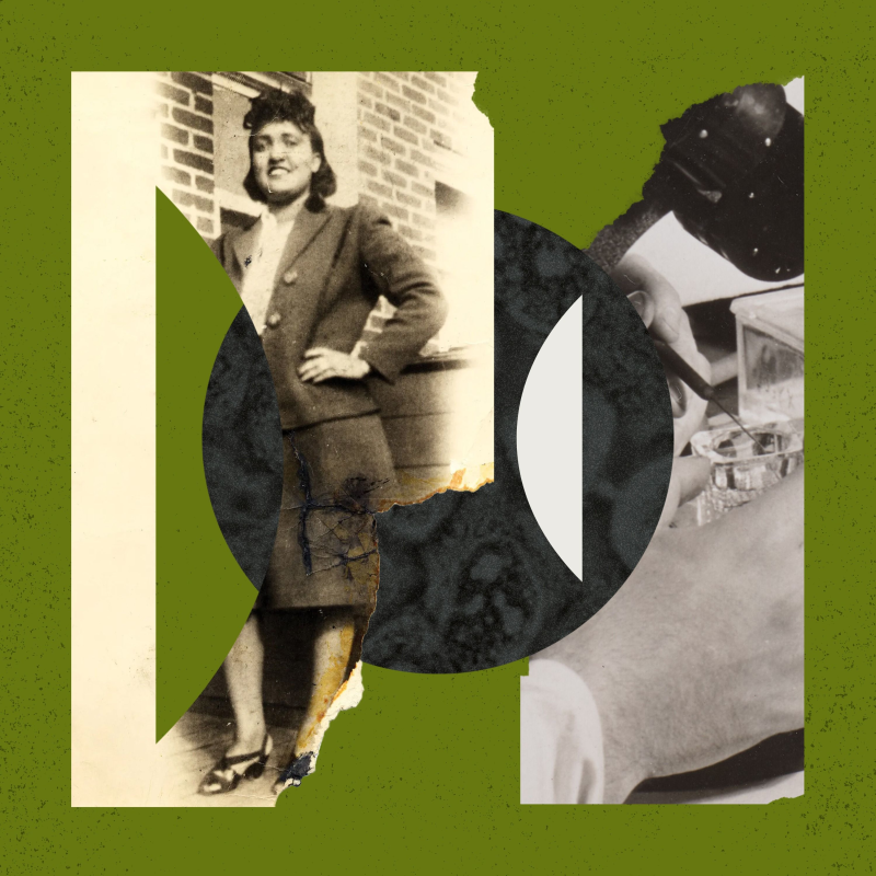 Obrázek epizody The Immortal Life of Henrietta Lacks
