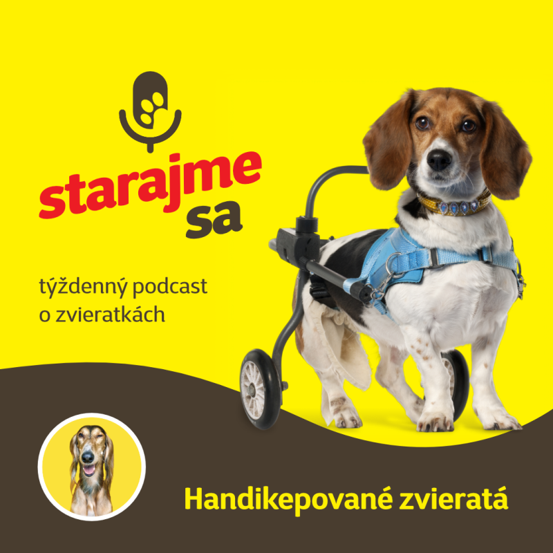 Obrázek epizody Psy: Handikepované zvieratá