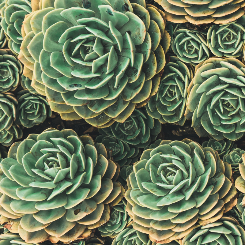 Obrázek epizody Žalm 143 - Více než optimismus