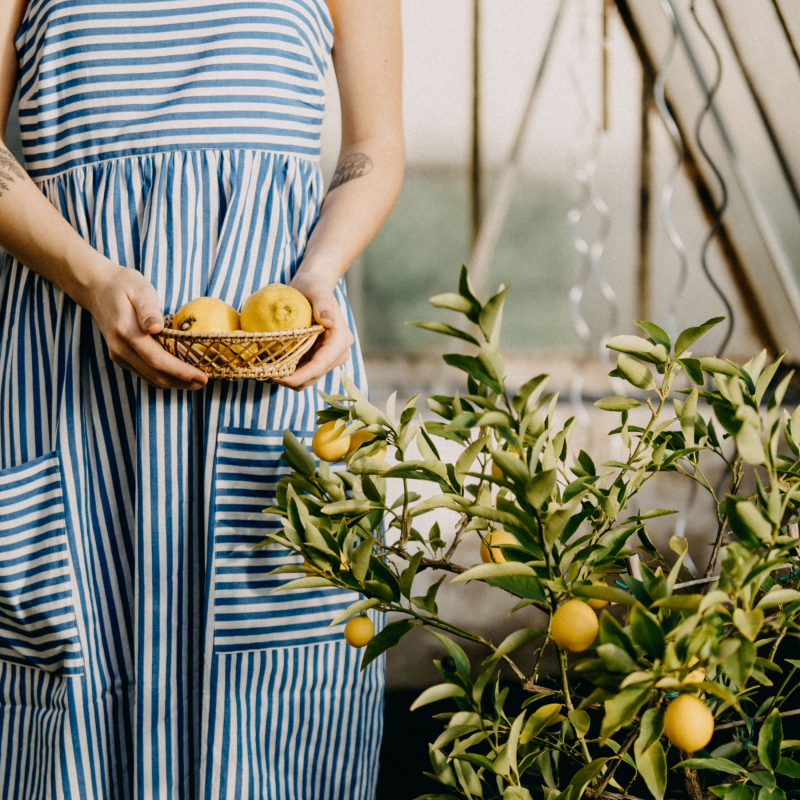 Obrázek epizody Bonus II: Hledání smysluplnosti a vnitřní svobody v práci i podnikání