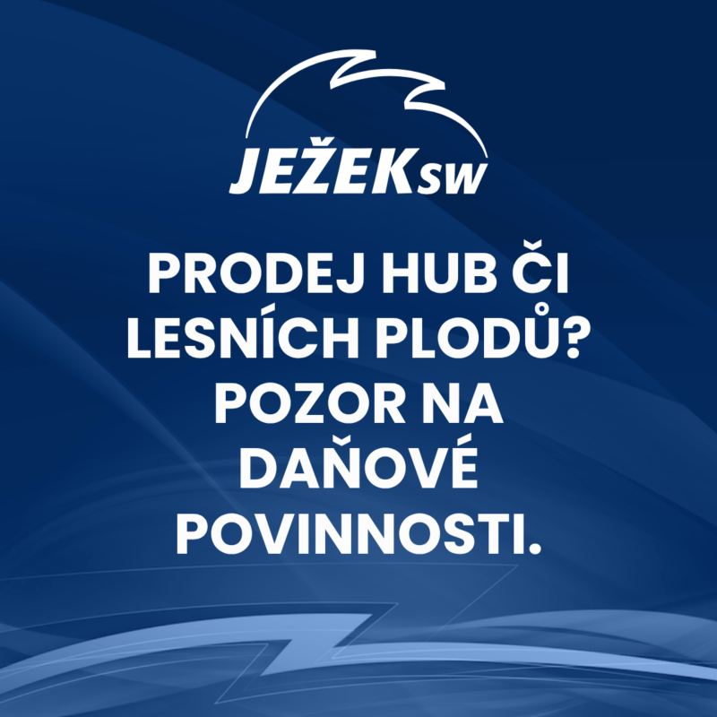 Obrázek epizody Prodej hub či lesních plodů? Pozor na daňové povinnosti.