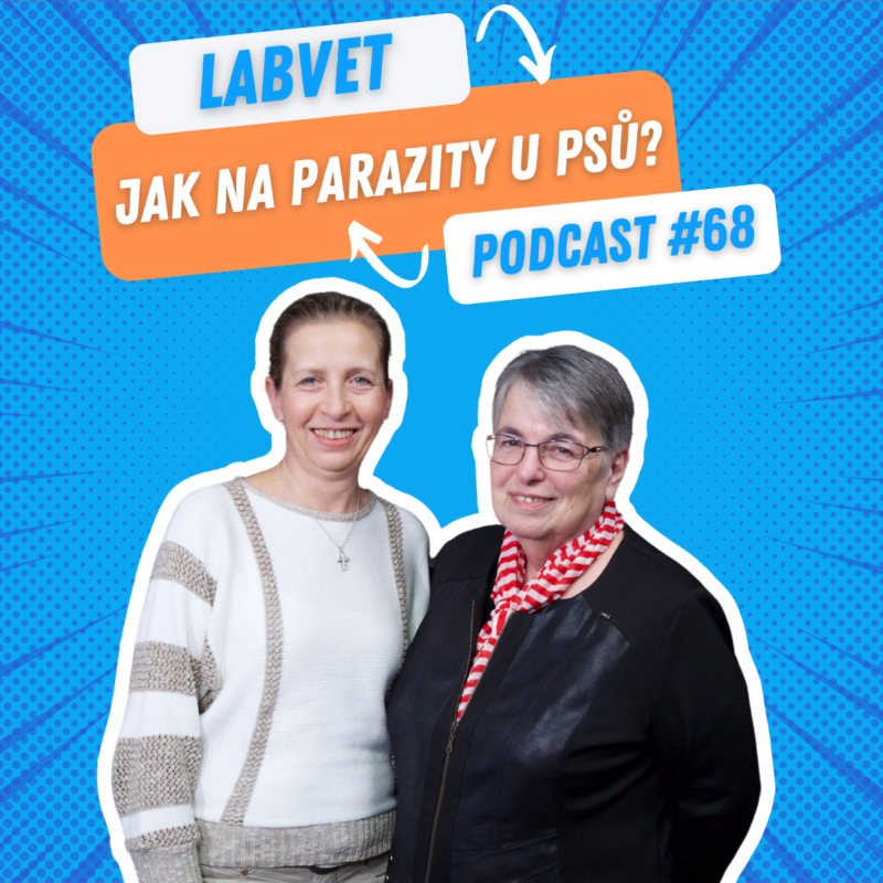 Obrázek epizody 🪱 Jak na jarní parazity? 🪱| Labvet Podcast #68
