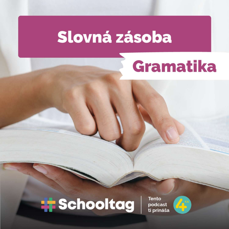Obrázek epizody #Gramatika - Slovná zásoba