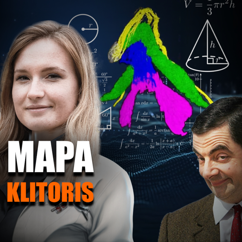 Obrázek epizody Vznikla první mapa všech nervů v klitorisu ve 3D | Vědátornews
